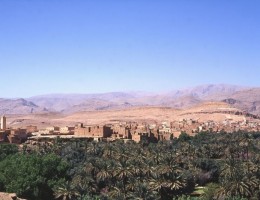 MARRUECOS, MAR DE DUNAS